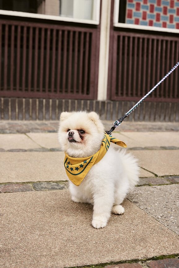Hay Bandana pour Chien, rouge