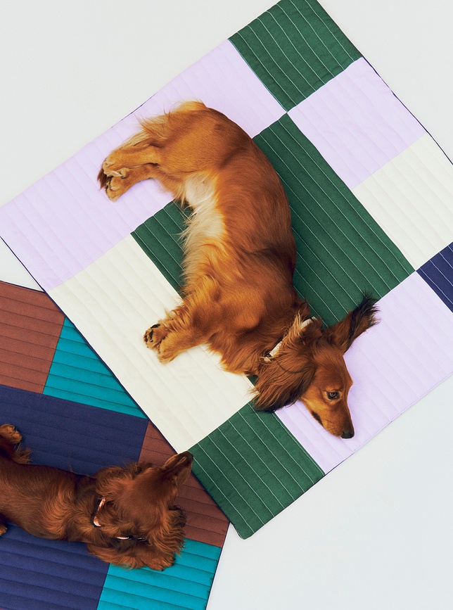 Hay Couverture pour Chien de Voyage, 80 x 80 cm, multicolore