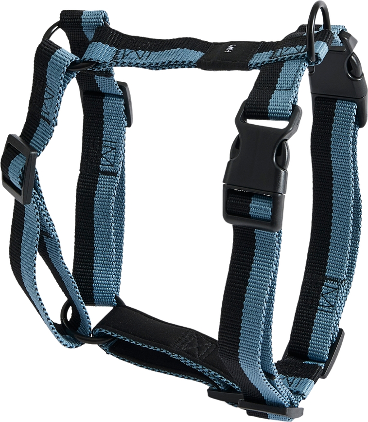 Hay Harnais pour chien, noir et bleu