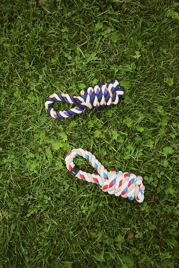 Hay Igrača za psa, vijolična