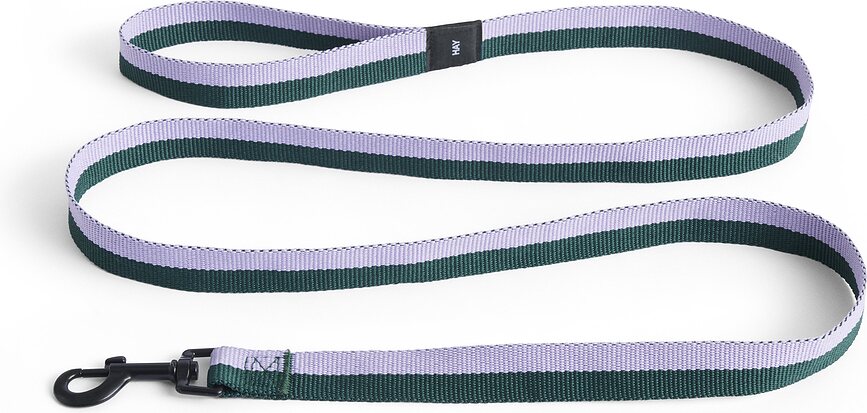 Hay Laisse pour Chien, vert et lavande
