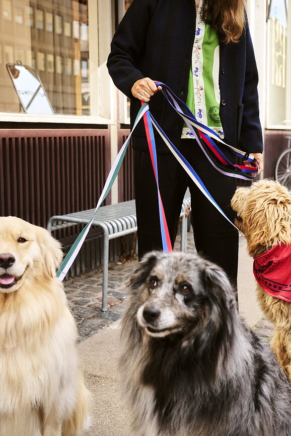 Hay Laisse pour Chien, vert et lavande