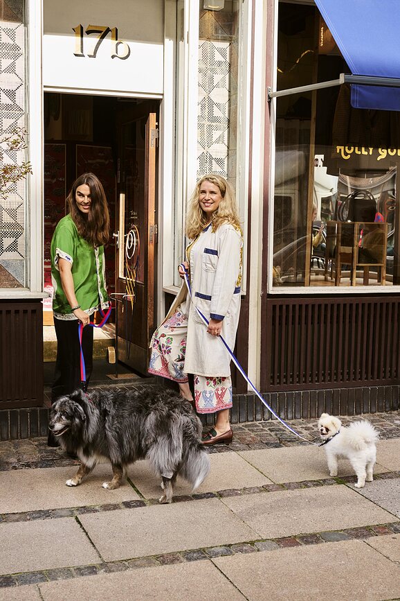 Hay Laisse pour Chien, vert et lavande