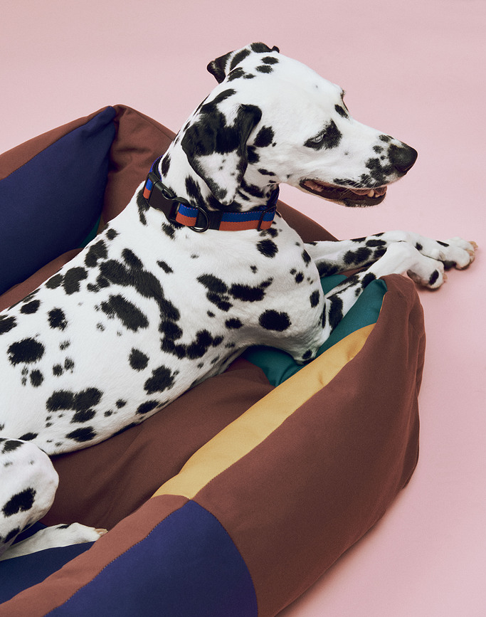 Hay Pasje ležišče L