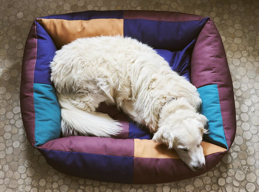 Hay Panier pour Chien, taille S