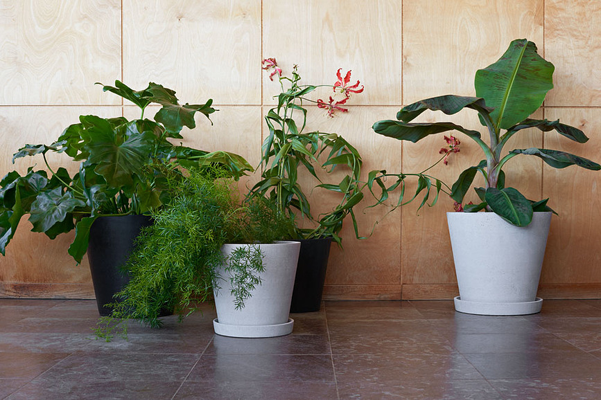 Hay Pot de Fleurs avec soucoupe, 15 cm, noir