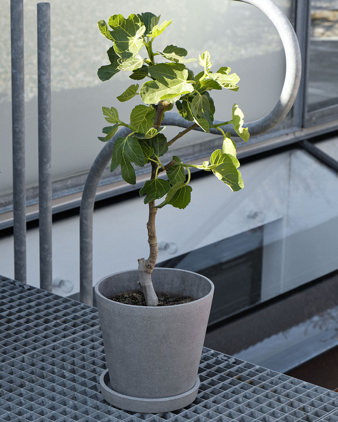 Hay Pot de Fleurs avec soucoupe, 15 cm, noir