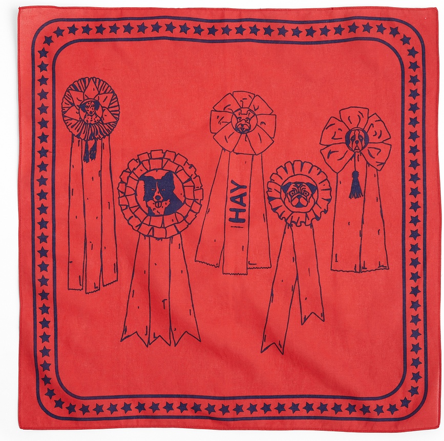 Hay Ruta za psa, 55 x 55 cm, temno modra, reciklirana