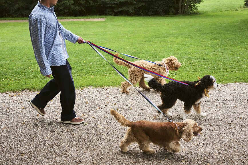 Hay Pasja ruta, rdeča