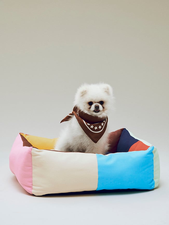 Hay Zip Krevet za psa S plavo-bijeli na pruge