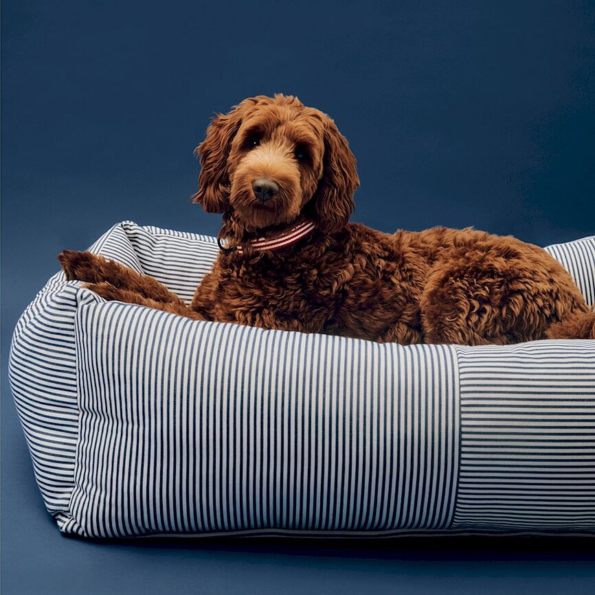 Hay Zip Panier pour chien M, blanc et bleu