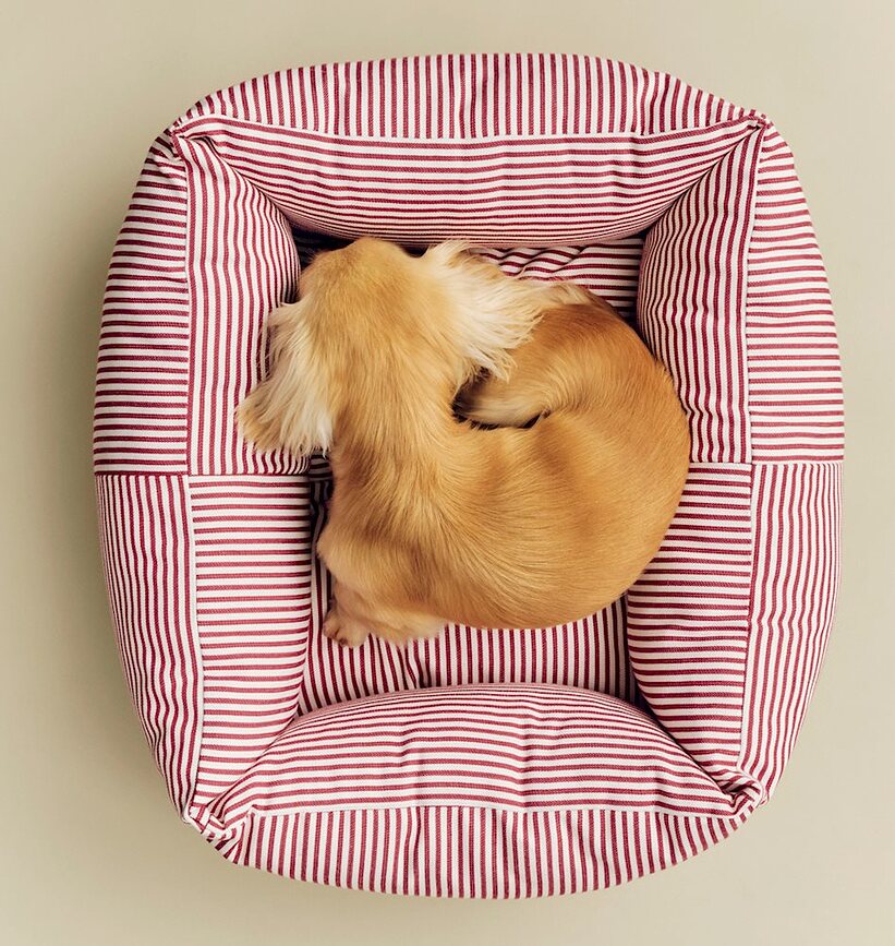 Hay Zip Panier pour chien S, bleu et blanc à rayures