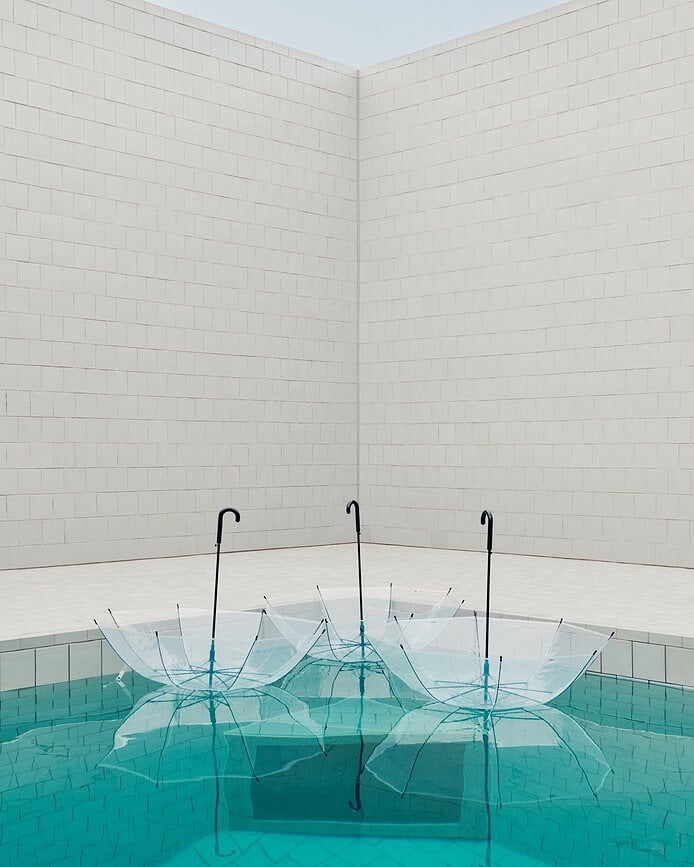 Paraguas Canopy, transparente