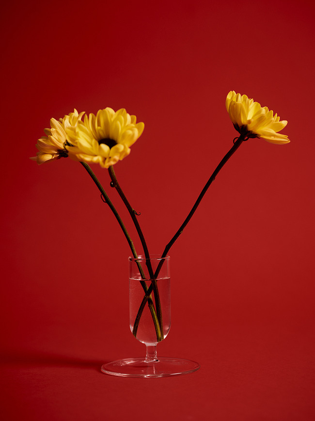 Tiny Mini Vase, transparent