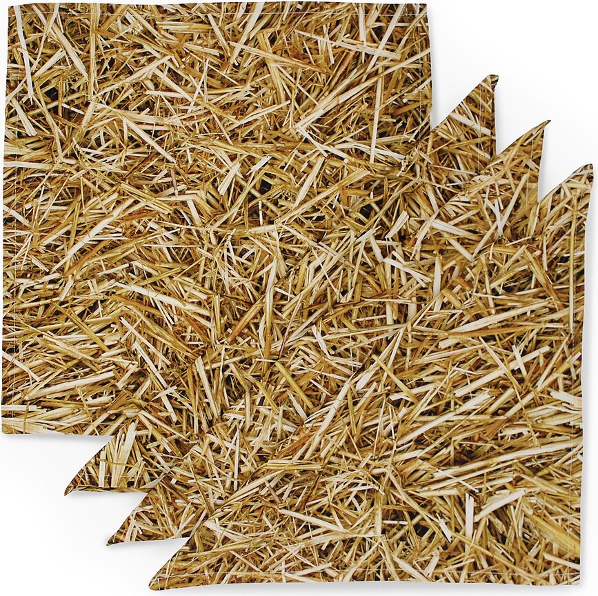 Foonka Sets de Table, paille, Lot de 4