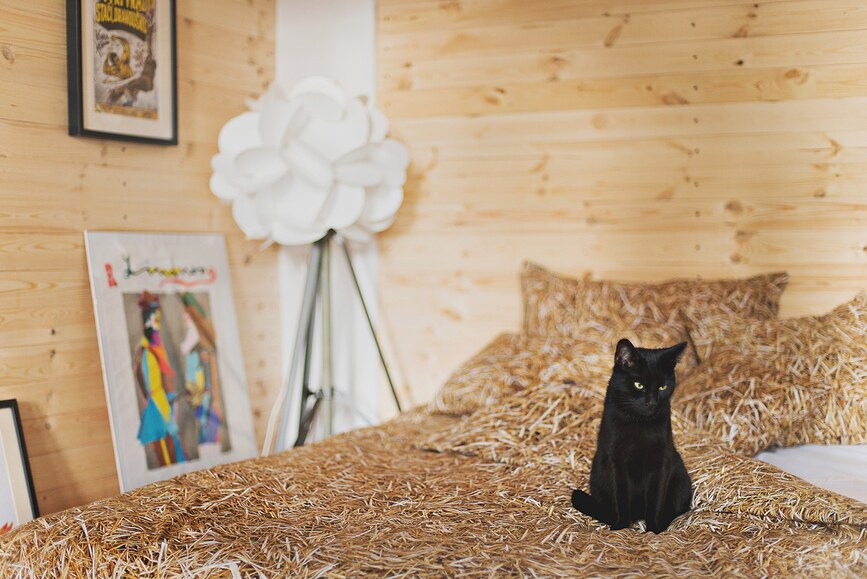 Hayka Housse de Coussin 40 x 40 cm, paille