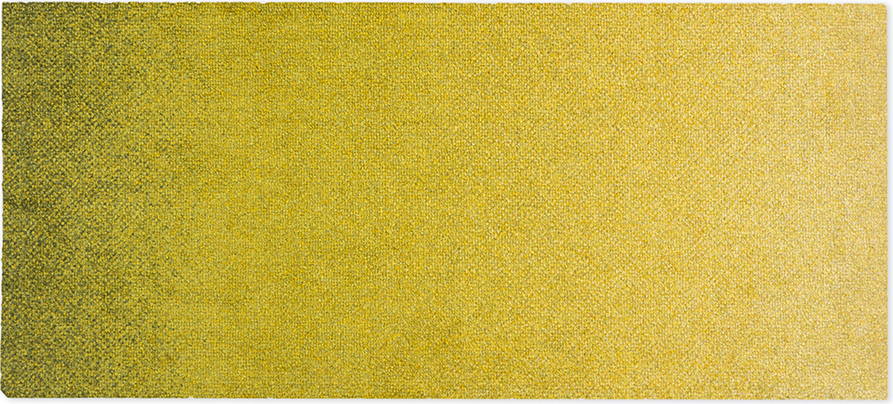 Dis Moss Fußmatte 45 x 100 cm