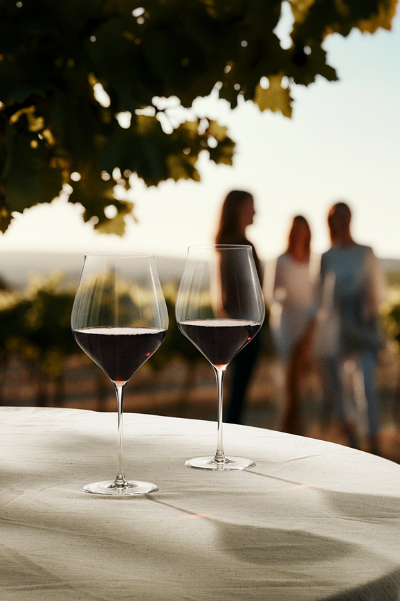 Copas de Vino Tinto Notes, 2 unidades