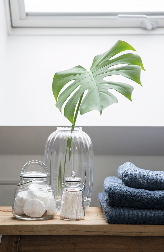 Jarrón Primula, transparente