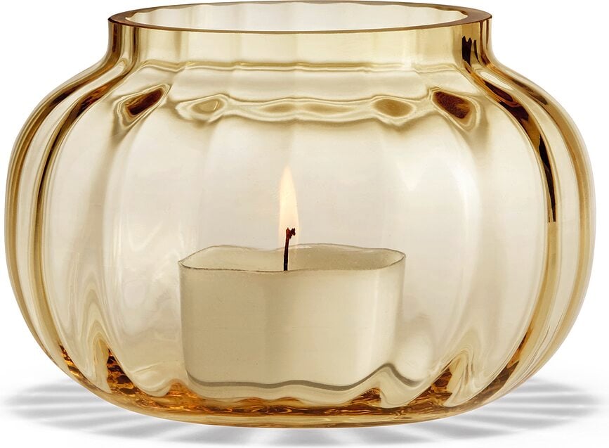 Primula Svijećnjak za lučice bezbojan