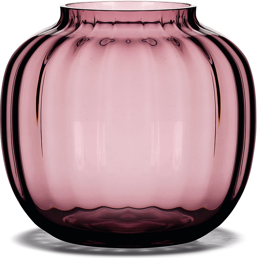 Primula Vase bas, prune