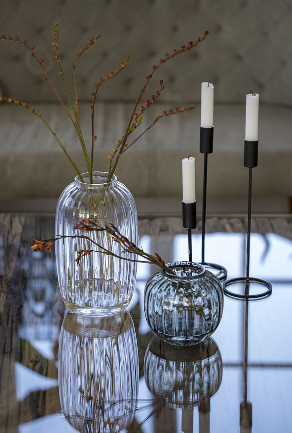 Primula Vase bas, prune