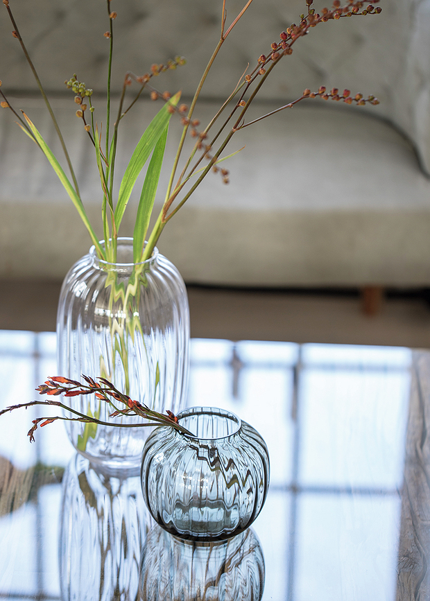 Primula Vase bas, prune