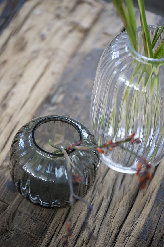 Primula Vase bas, prune