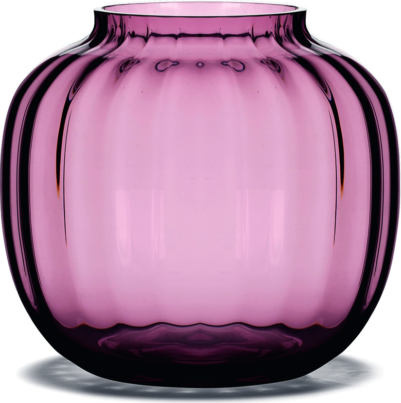 Primula Vase niedrig pflaumenfarben