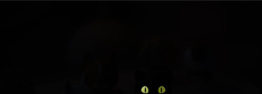 Figura Hoptimist Cat Breed atigrado XS, naranja