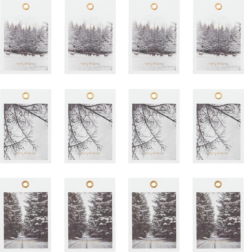 Etiquetas de Regalo Winter, 12 unidades