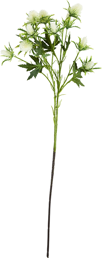 Flor artificial House Doctor Eryngium, crema