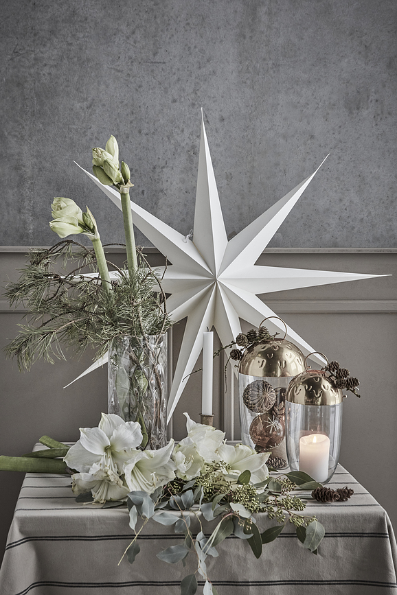 HD9 Point Étoile de Noël, grande, blanche