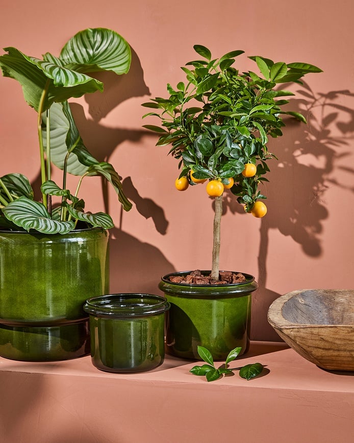 HDHoop Γλάστρες, σκούρες πράσινες, 2 τμχ