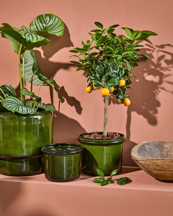 HDHoop Pots de fleurs, verts foncés, Lot de 2