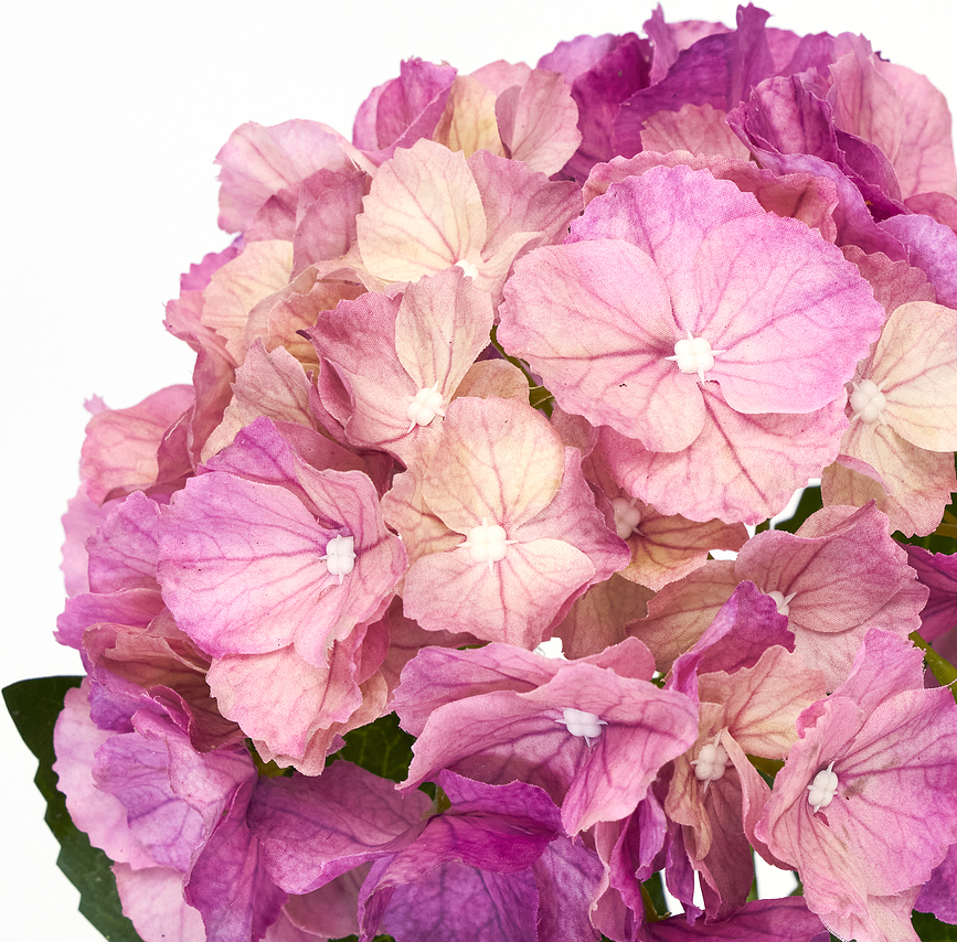 HDHydrangea Fleur artificielle, verte