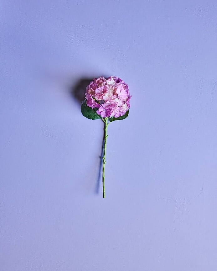 HDHydrangea Τεχνητή Ορτανσία, λευκή