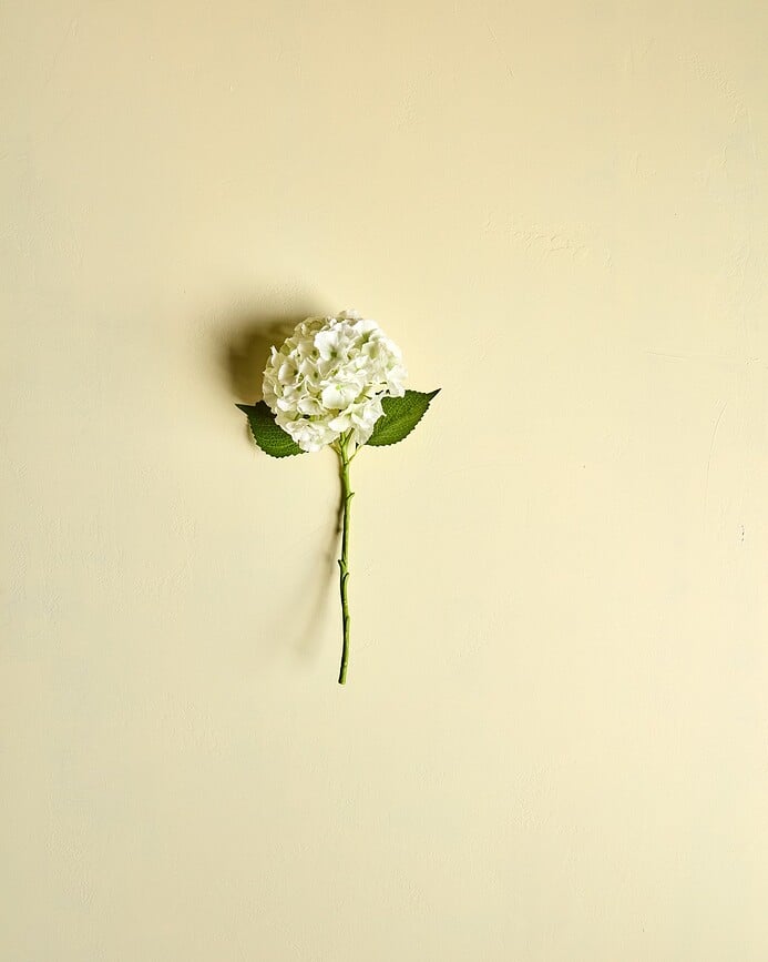 HDHydrangea Umetna hortenzija, zelena