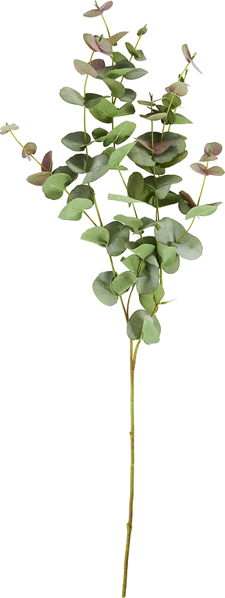 HDLeaves Konstväxt