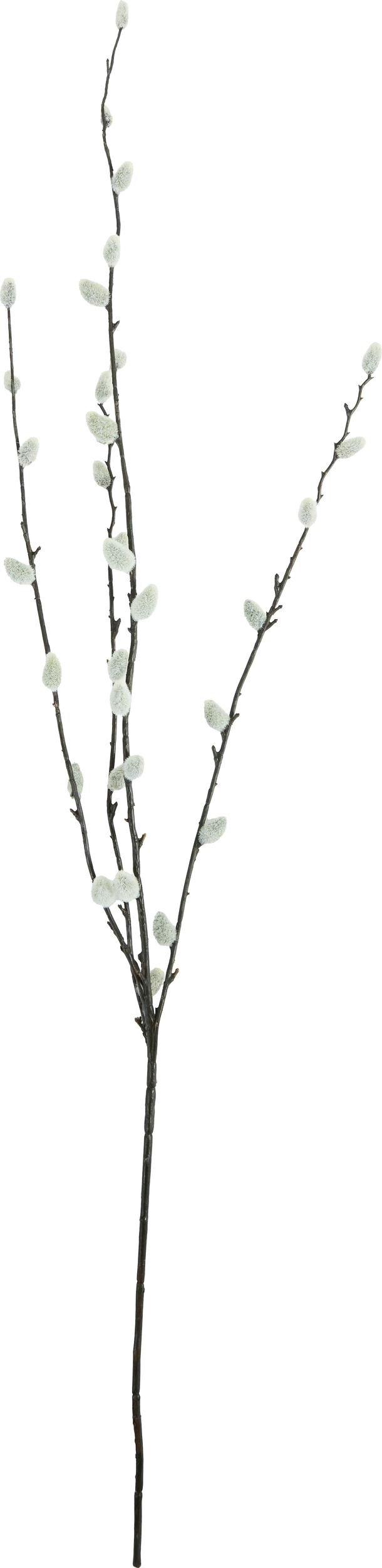 HDLeaves Kunstblume, braun-creme
