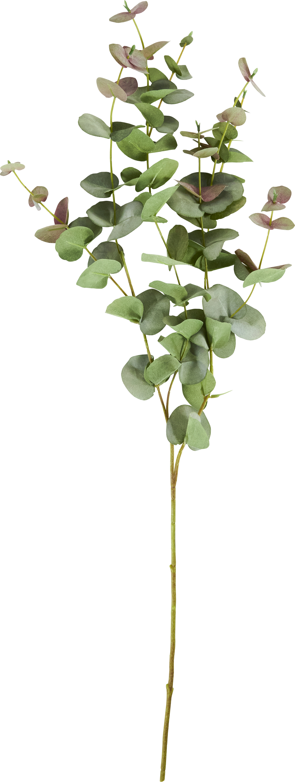 HDLeaves Kunstpflanze, grün-rosa