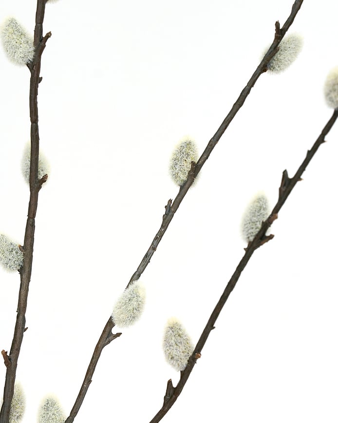 HDLeaves Umetna rastlina, zeleno-roza