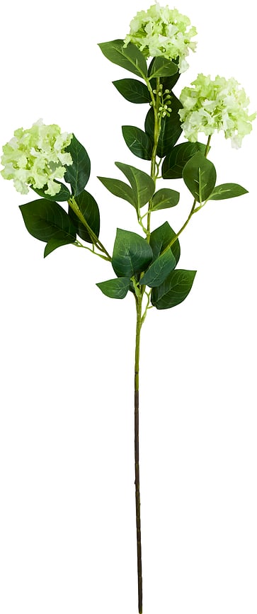 House Doctor Crepe Τεχνητό Λουλούδι, πράσινο