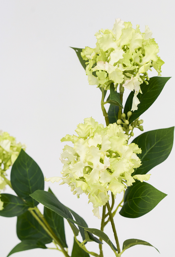 House Doctor Crepe Fleur artificielle, verte