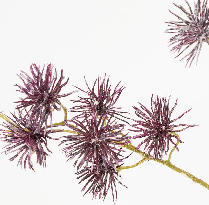 House Doctor Τεχνητό Φυτό Skimmia, πράσινο