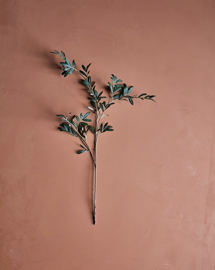 House Doctor Τεχνητό Φυτό Skimmia, πράσινο