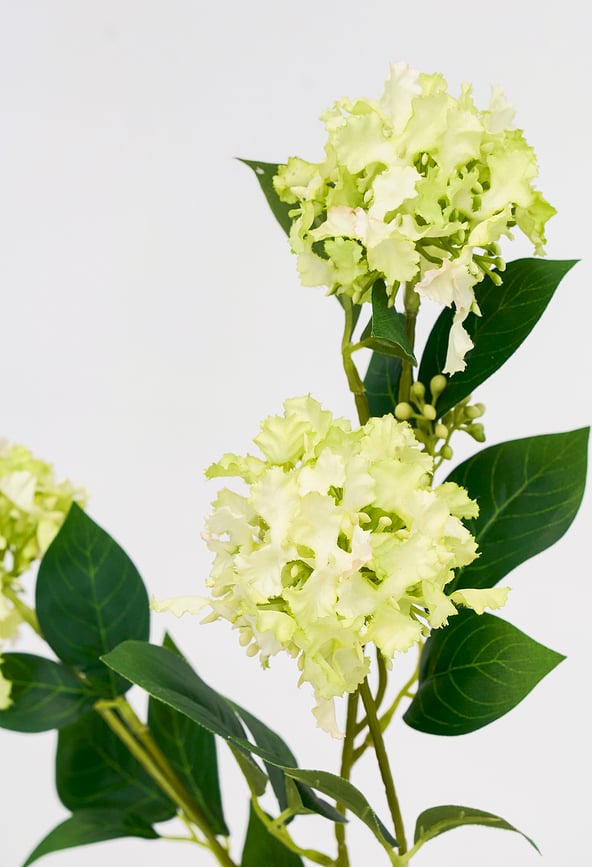 House Doctor Τεχνητό Φυτό Skimmia, πράσινο