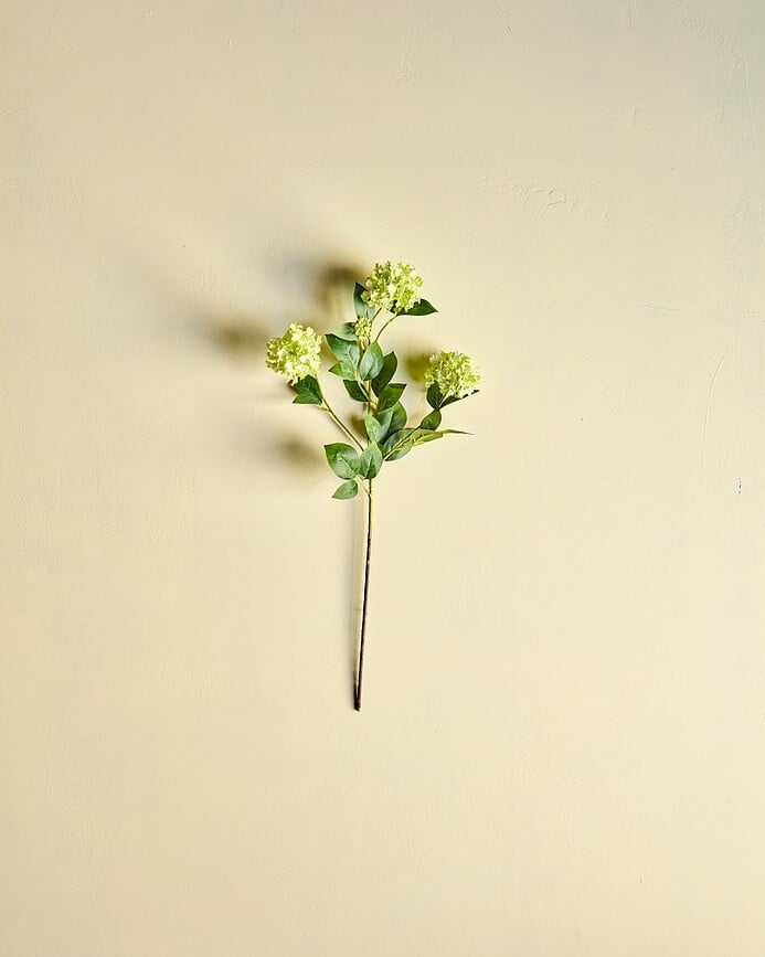 House Doctor Τεχνητό Φυτό Skimmia, πράσινο