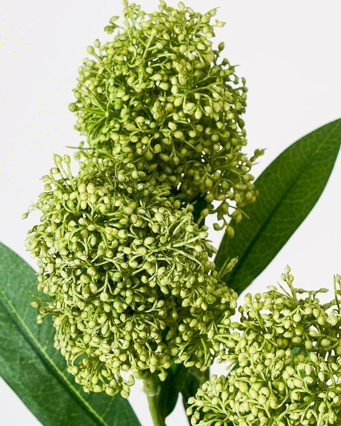 House Doctor Τεχνητό Φυτό Skimmia, πράσινο