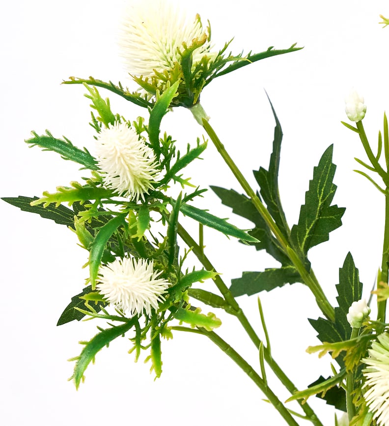 House Doctor Τεχνητό Φυτό Skimmia, πράσινο